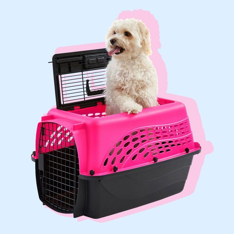 Soft Pet Carrier: A Comprehensive Guide for Small Dogs