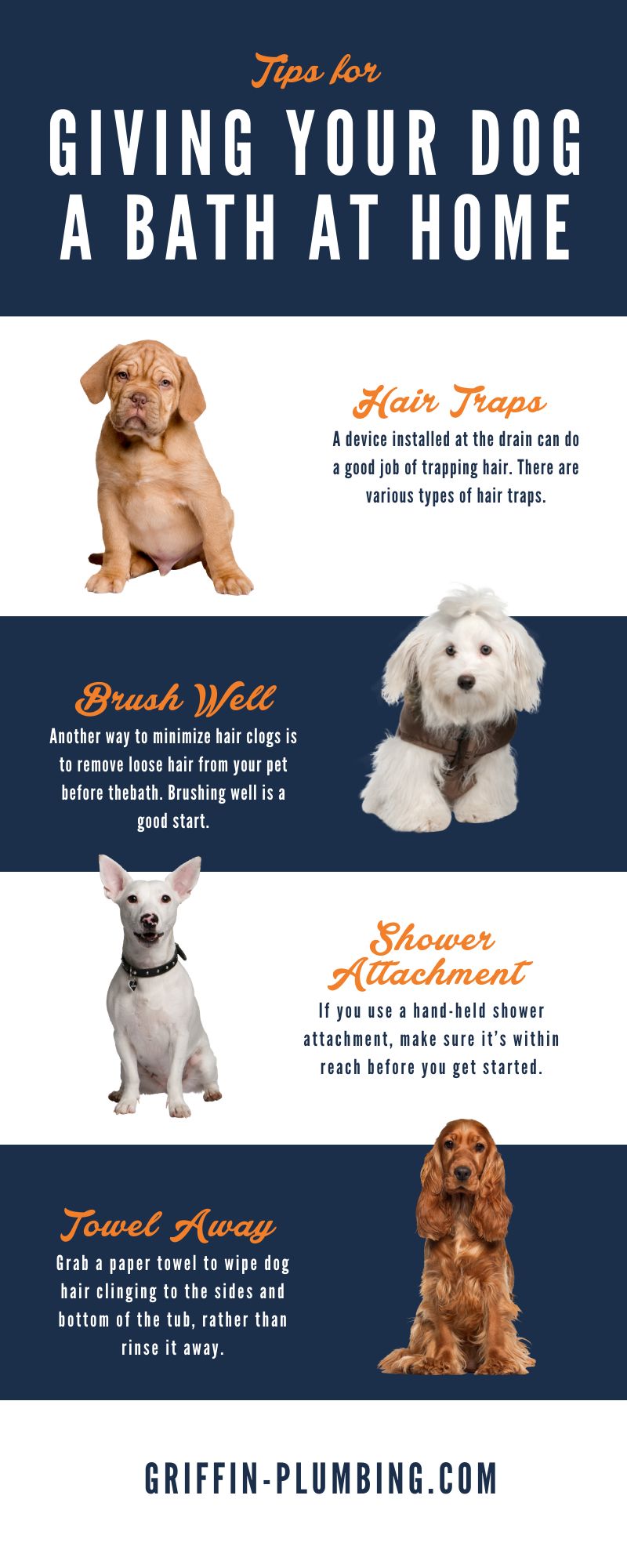 What Can I Wash My Dog With: A Guide to Pet-Friendly Bathing