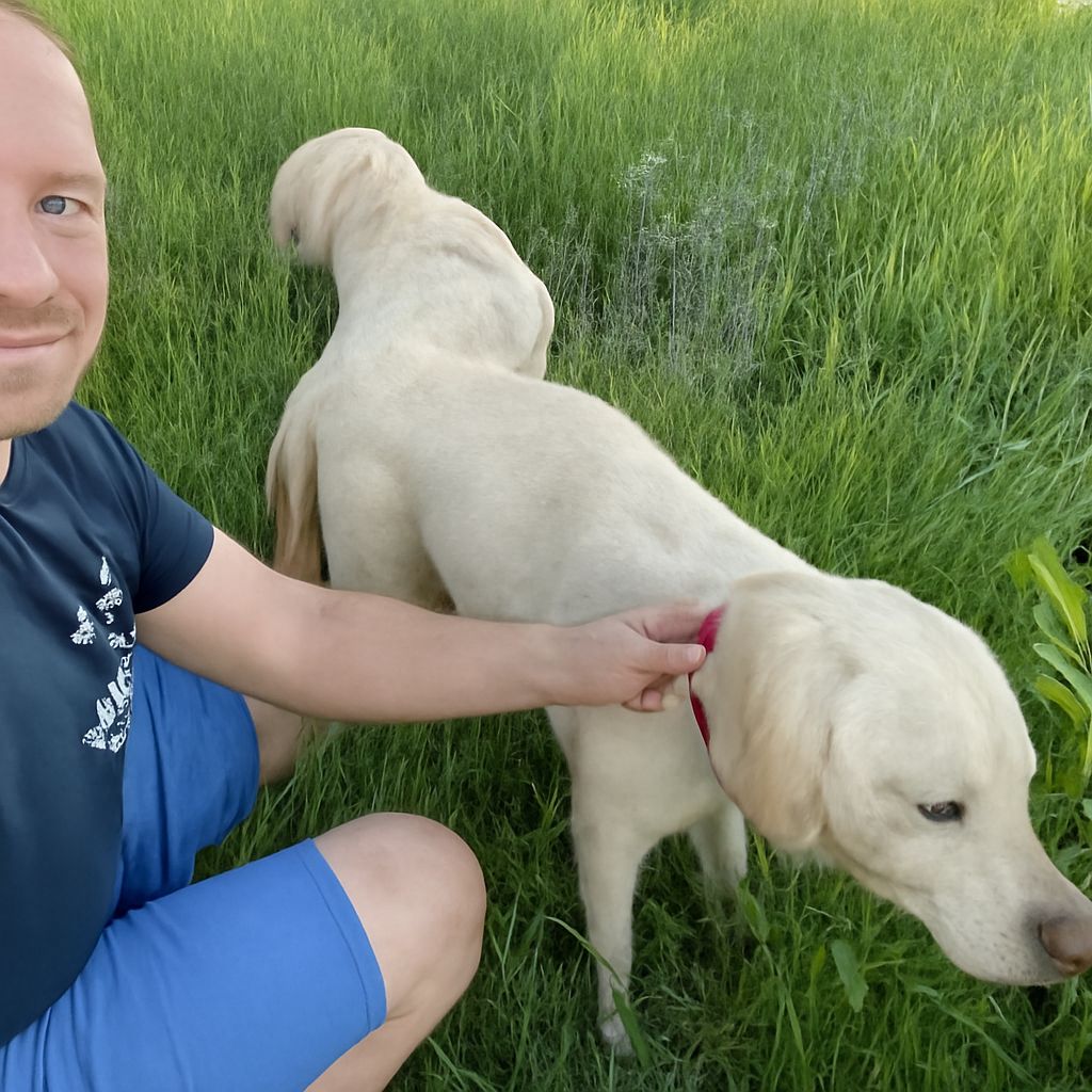 Can you litter train a dog and understand dog knot meaning