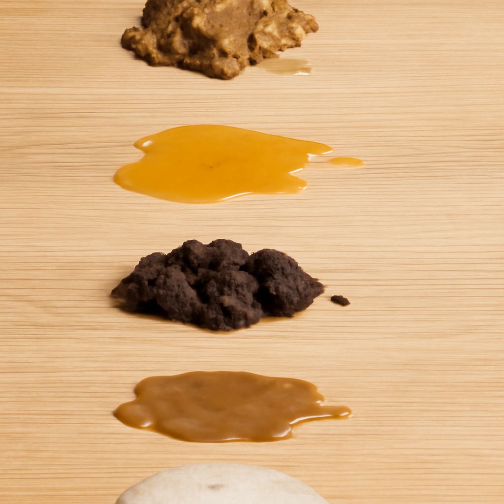 My Dog Has Bloody Diarrhea: Causes and Solutions