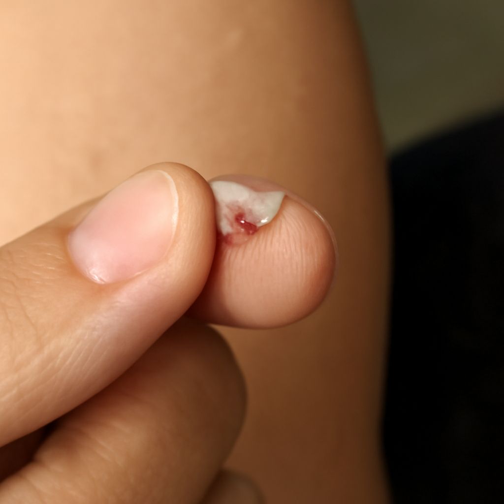 dog tooth fell out and dog losing teeth