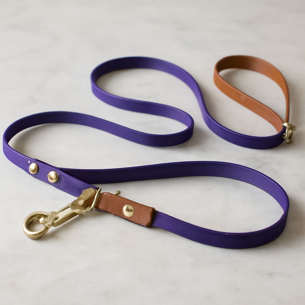Exploring the Types of Dog Leashes
