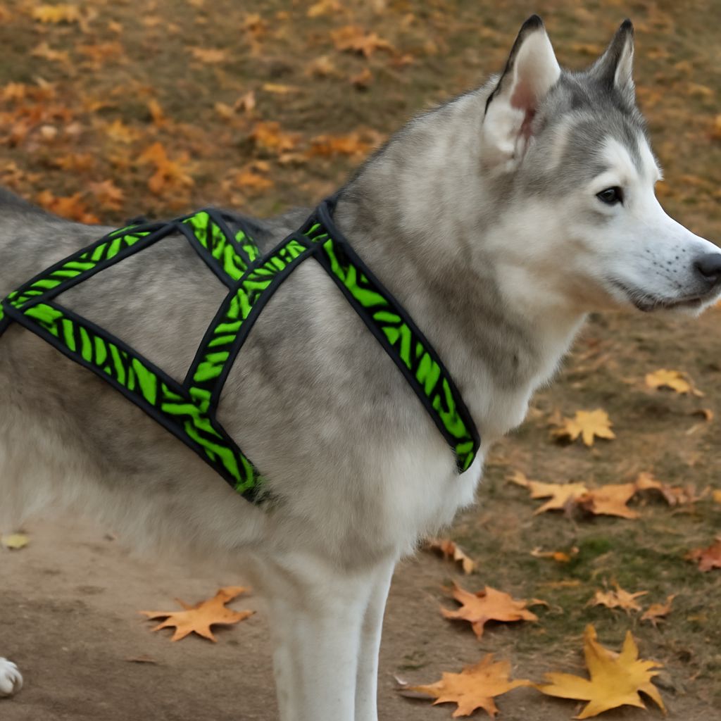 Dog Pulling Harness: Choosing the Right Fit for Your Canine