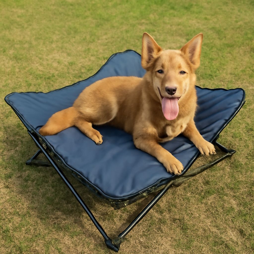 dog teepee and pet teepee options