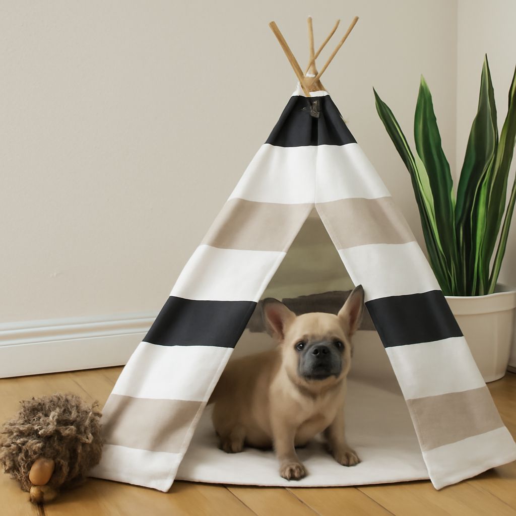 DIY Dog Ear Cleaner and Other Essential DIY Dog Stuff