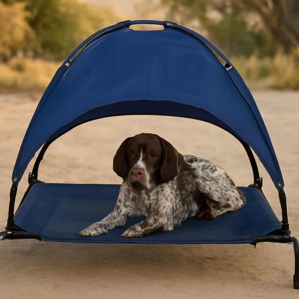 Gemini dog enjoying dog bed with canopy