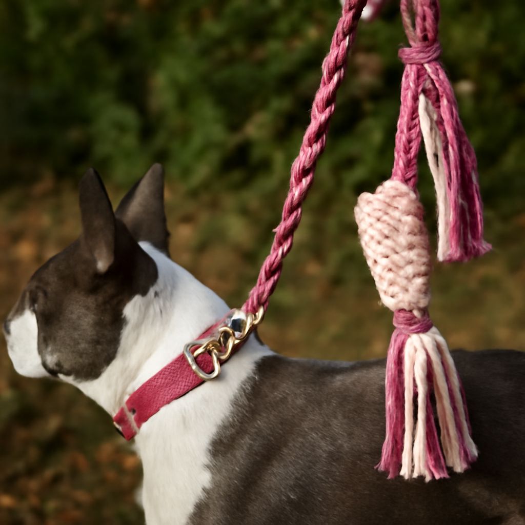 Dog Door Installation: A Comprehensive Guide